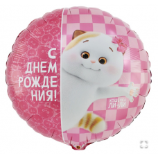 К 18" РУС ДР Басик Кошечка Ли-Ли